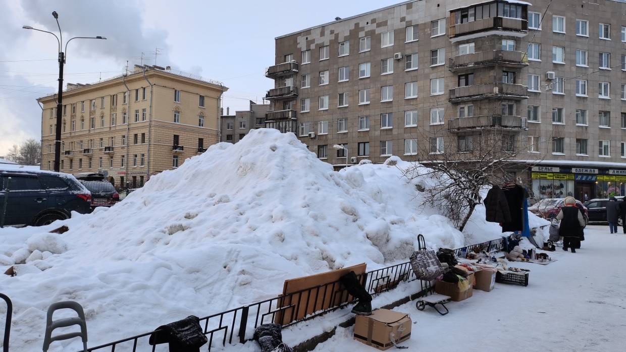 Смольный не смог обеспечить все районы Петербурга снегоуборочной техникой