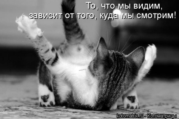 Мысли вслух :)