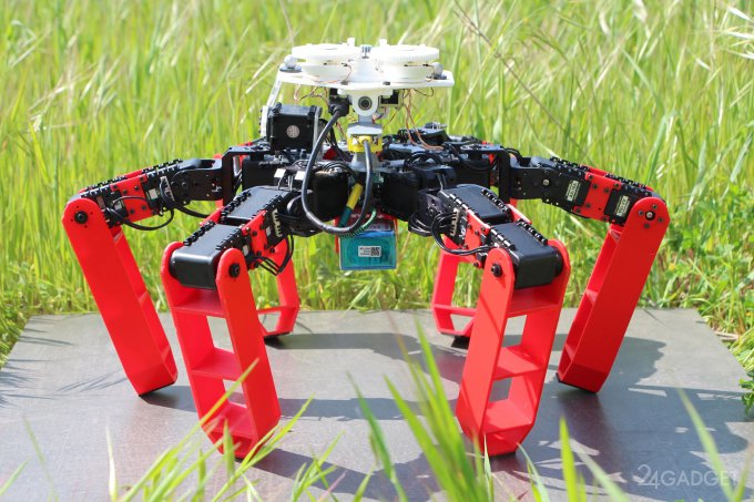 AntBot – робот, получивший навигационную систему муравьев AntBot – робот, получивший навигационную систему муравьев AntBot
