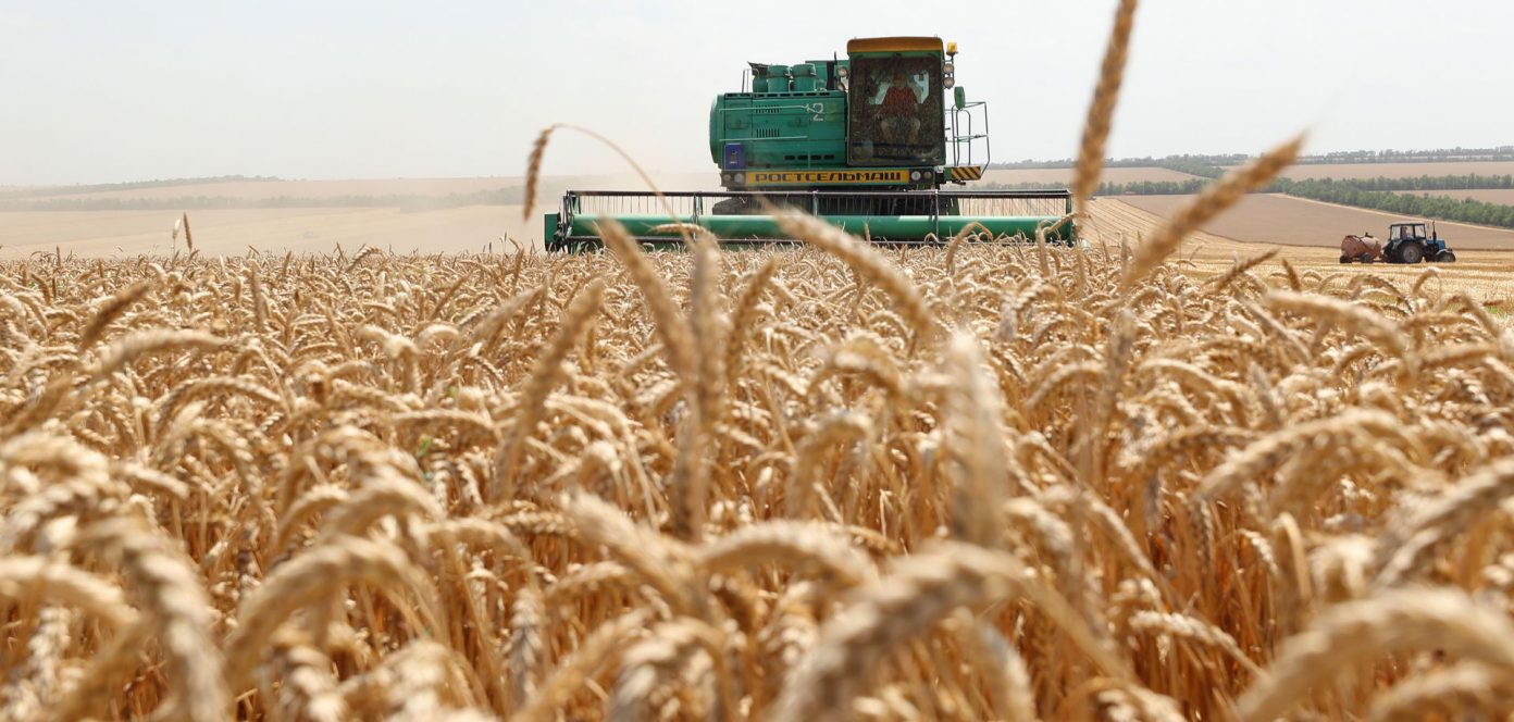 Санкции произвели революцию в сельском хозяйстве России