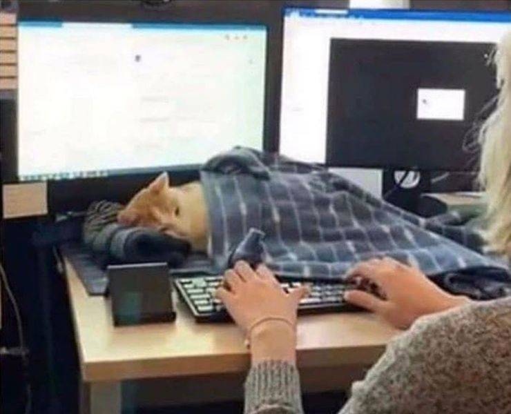 Подборка прикольных картинок  приколы,смешные картинки,юмор