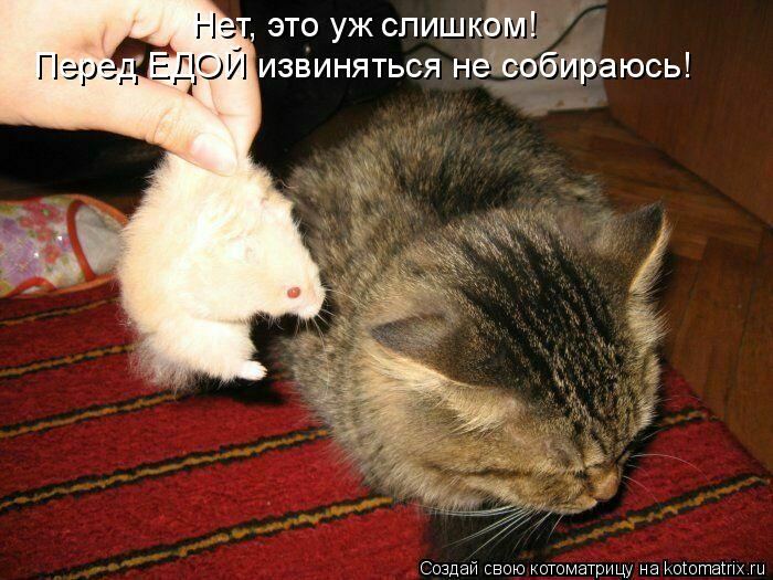 Мысли вслух :)