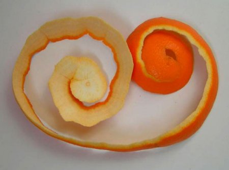 розы из апельсинов