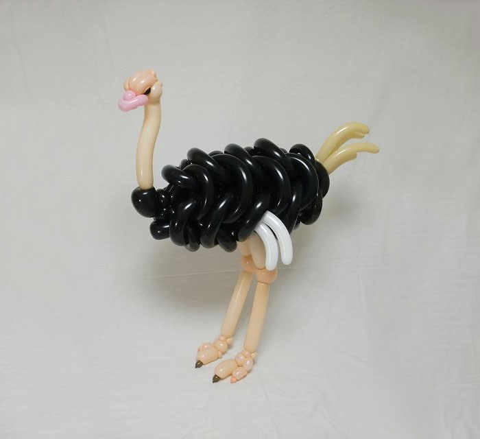 Ostrich