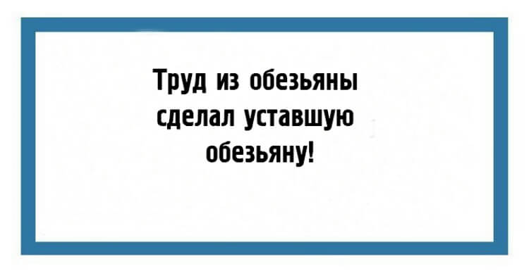 24 юмористических открытки с мудрыми жизненными наблюдениями 