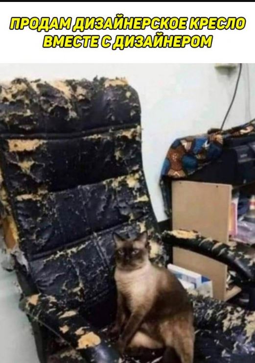 Прикольный юмор в картинках