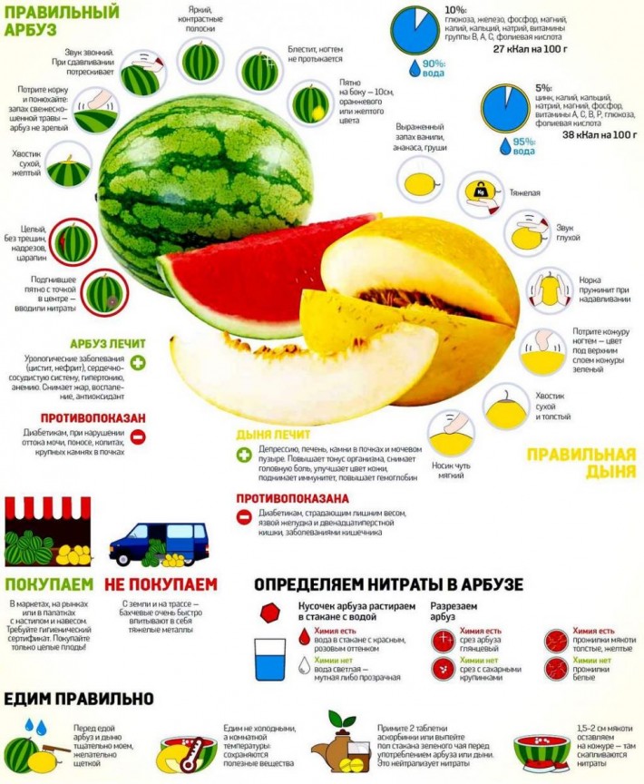 ПОЛЕЗНЫЕ СОВЕТЫ. ПРАВИЛЬНЫЙ АРБУЗ И ПРАВИЛЬНАЯ ДЫНЯ.