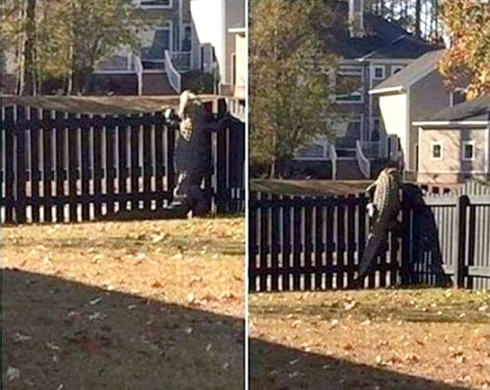 15+ ситуаций, в которые сложно поверить, если не бывал в Австралии заграница,страны,туризм