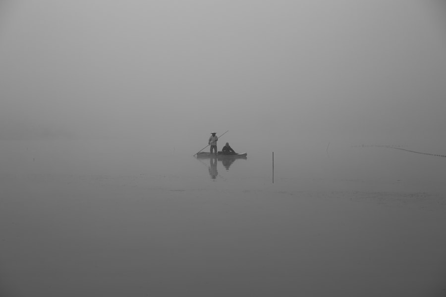 Foggy day by BoHyuk LIM on 500px.com