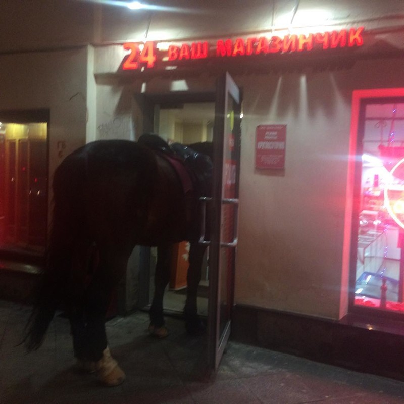 За равноправие борются не только люди женщины, прикол. юмор, равноправие