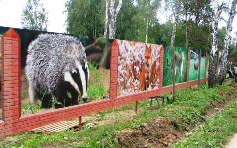 "Живые" заборы заборы, история, прикол, своими руками, сделай сам, факты