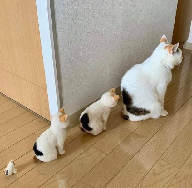 Подборка прикольных картинок Подборка прикольных картинок приколы,смешные картинки,юмор