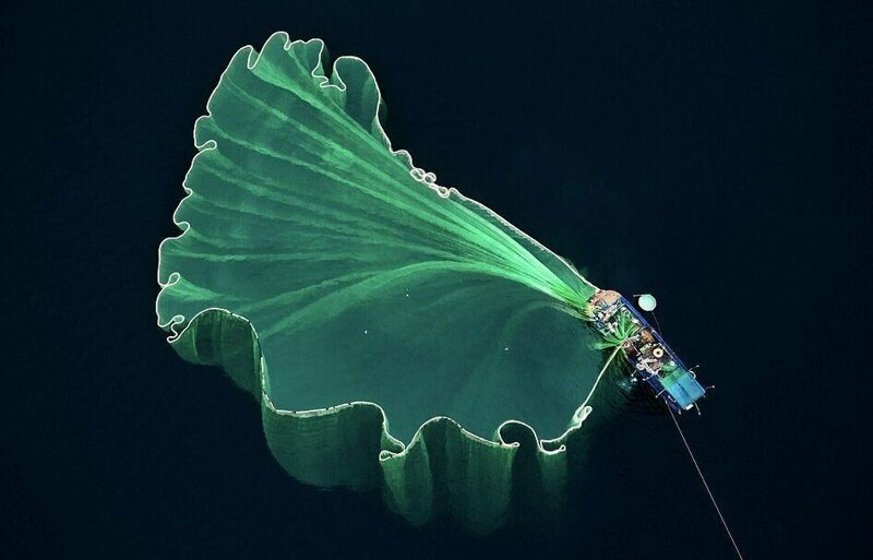 Лучшие фотографии 2018 года, сделанные дронами дроны