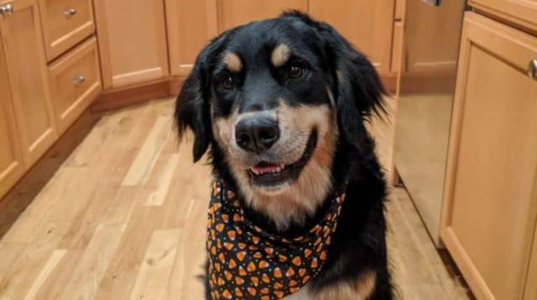 BeFunky-collage (19)