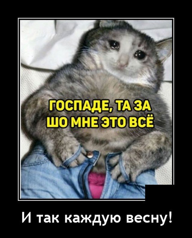 Самые новые демотиваторы  демотиваторы