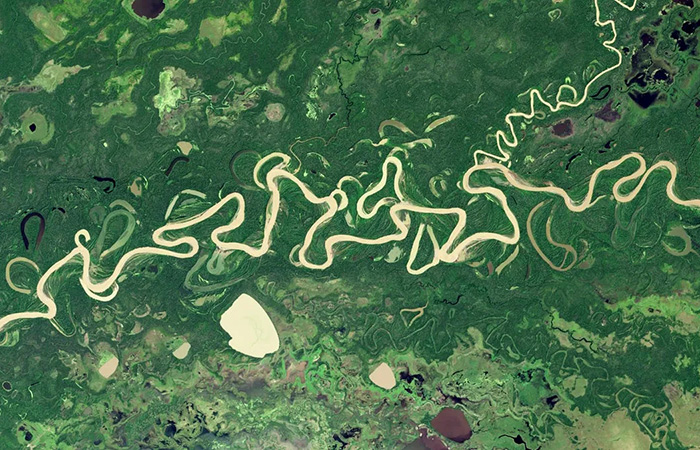 Вид на Амазонку