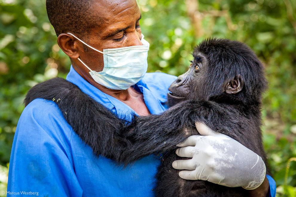 Лучшие фотографии Африки 2020 Африка,фотографии