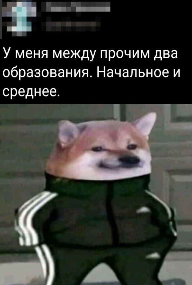 Подборка прикольных картинок Подборка прикольных картинок приколы,смешные картинки,юмор