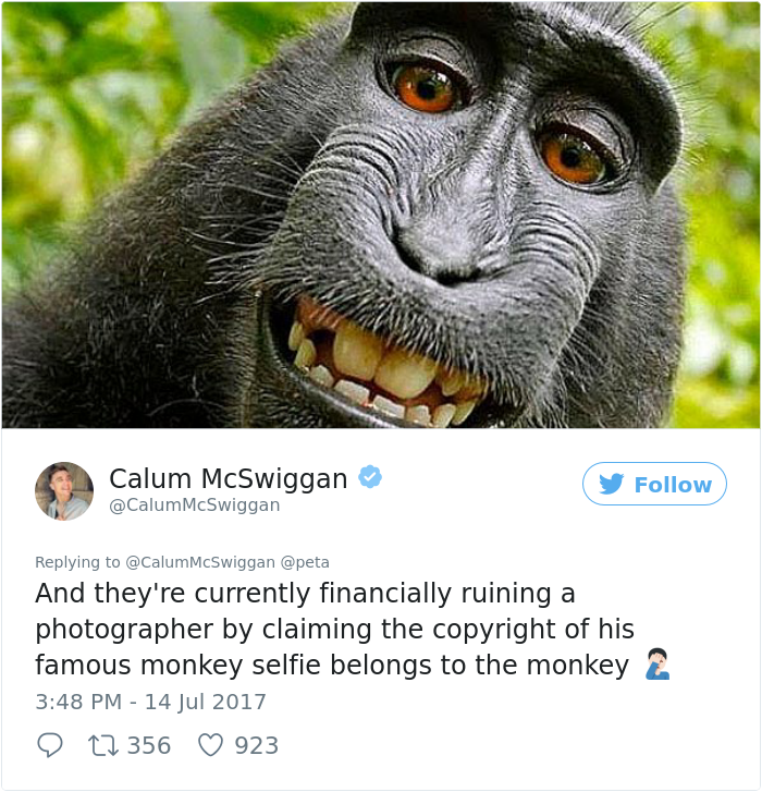 guy-sums-up-peta-twitter-calum-mcwiggan (7)