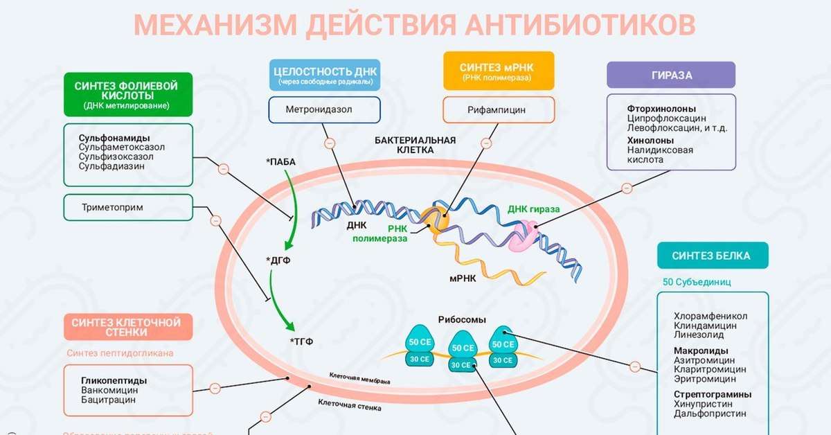 Вред, который наносят антибиотики организму