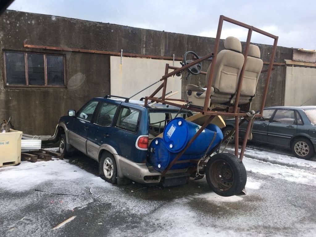 Забавные картинки для хорошего настроения Забавные картинки для хорошего настроения животные,жизнь,звери,земля,котики,коты,курьезы,мир,питомцы,планета,приколы,природа,смешное,собаки,факты,фауна,флора,щенки,юмор