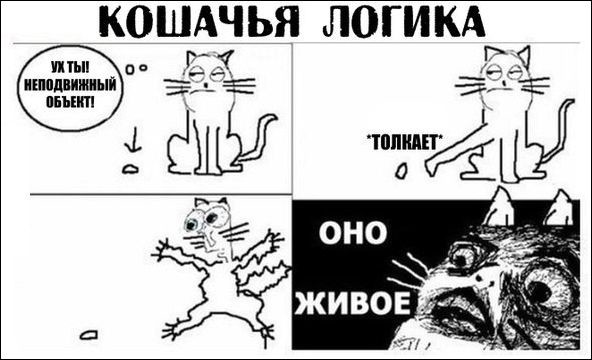 Забавные картинки картинки для хорошего настроения, прикол, юмор