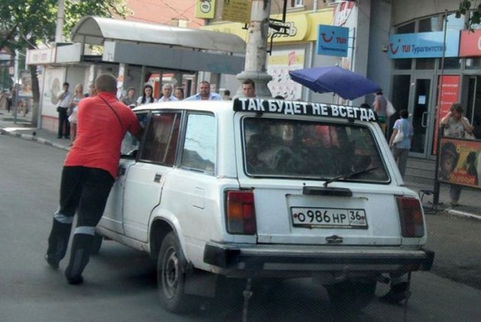 Свежие картинки и веселые приколы для настроения (12 фото)