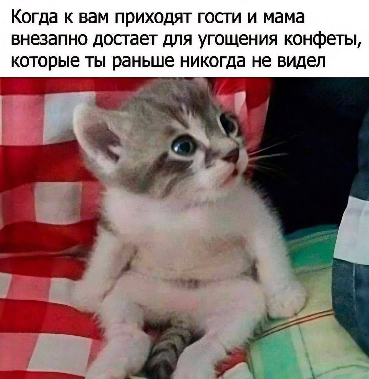 Как мало нужно, чтобы сделать жизнь невыносимой! Камешек в ботинке, таракан в макаронах, женский смех! Как мало нужно, чтобы сделать жизнь невыносимой! Камешек в ботинке, таракан в макаронах, женский смех! Соскучились , моим , картинкам , погналиИнструменты, власти, кнута, запах, пряника , Нутес , пожалуй , закончим , новых , встреч