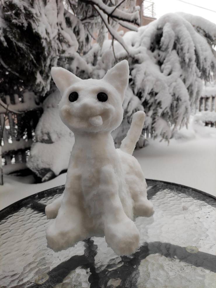 Подборка прикольных картинок Подборка прикольных картинок приколы,смешные картинки,юмор