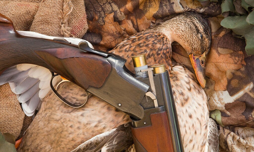 Выбираем оружие