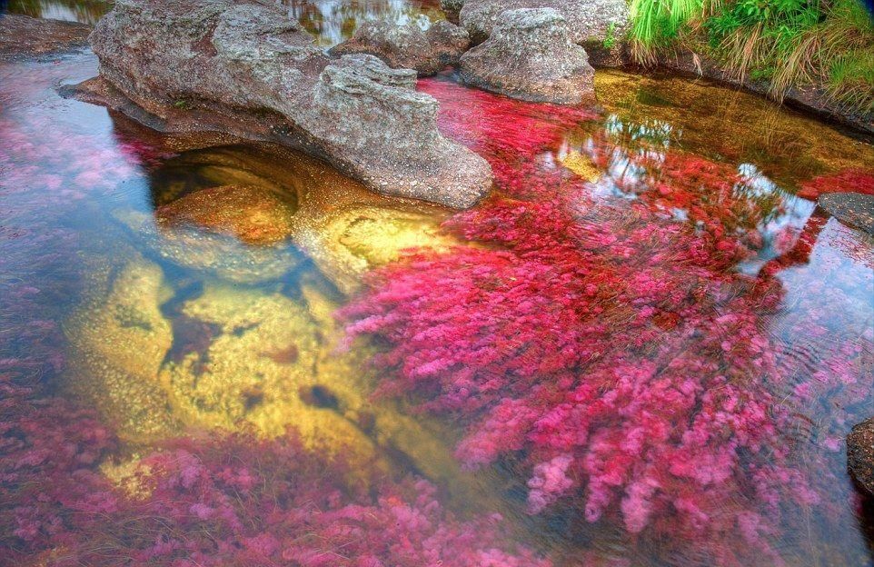 Удивительные водоёмы планеты, с которыми связаны загадочные явления Удивительные водоёмы планеты, с которыми связаны загадочные явления