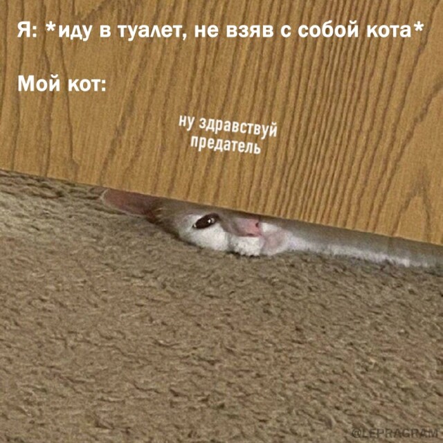 Прикольные мемы 