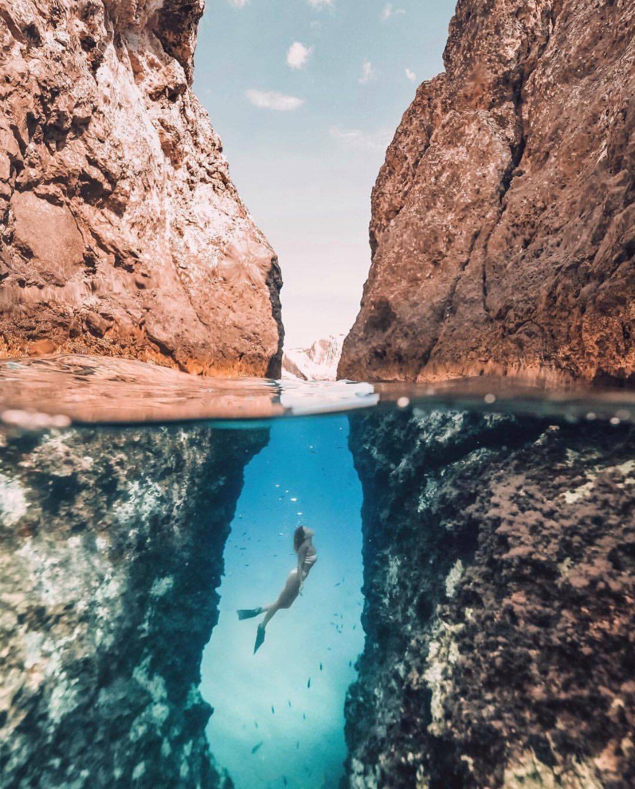 Забавные картинки для хорошего настроения Забавные картинки для хорошего настроения животные,жизнь,звери,земля,котики,коты,курьезы,мир,питомцы,планета,приколы,природа,смешное,собаки,факты,фауна,флора,щенки,юмор