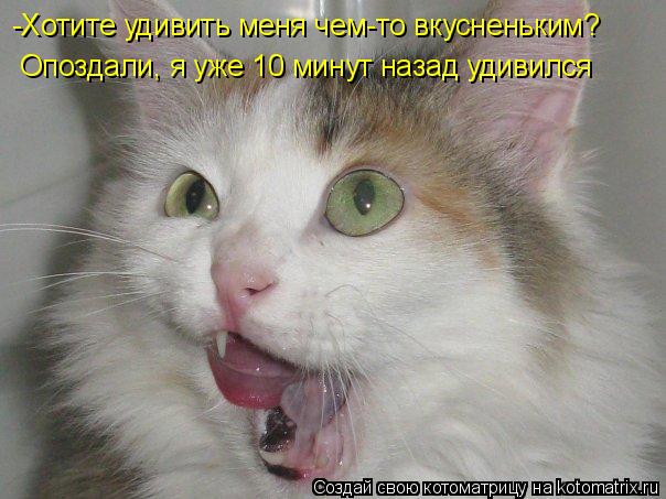 "Кого ты хотел удивить...?" Машина Времени 70,группа