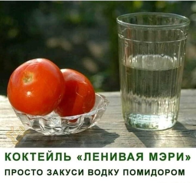 Интернет мемы в воскресение и чай в пирамидках Интернет мемы в воскресение и чай в пирамидках