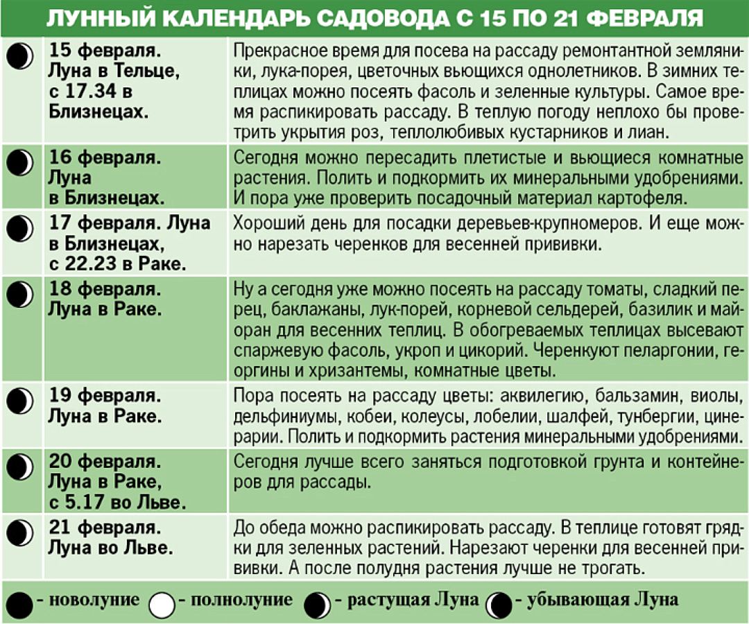 На какую луну сажать помидоры. Можно сажать на убывающую луну помидоры. На какую луну лучше сажать рассаду. При какой Луне сеять рассаду. Можно ли сегодня сеять рассаду.