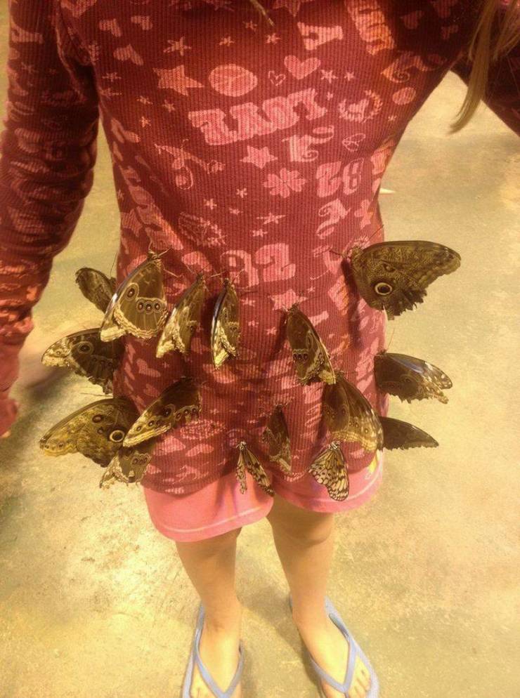 Подборка прикольных картинок  приколы,смешные картинки,юмор