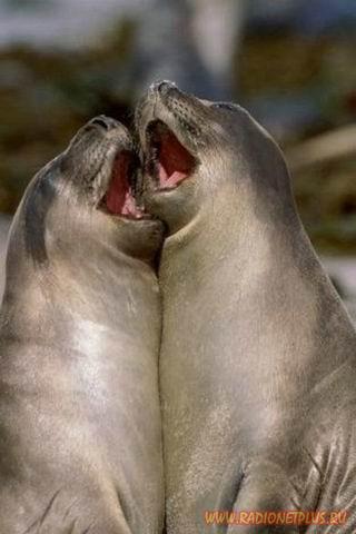 Улыбнёмся? :) (21повод)