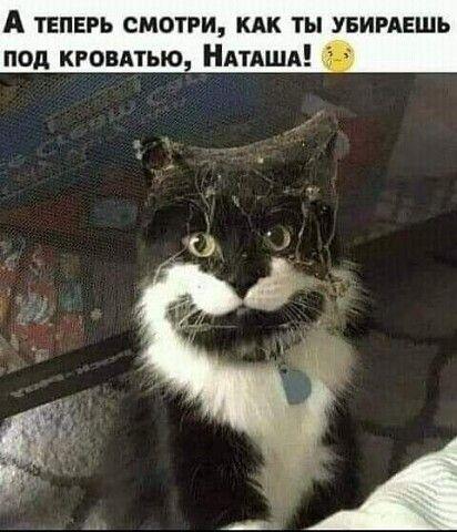 Свежие картинки с надписями 