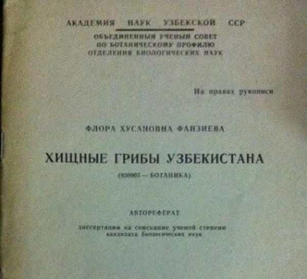 А вы знали, что в Узбекистане не ходят за грибами? грибы, лес, прикол, юмор