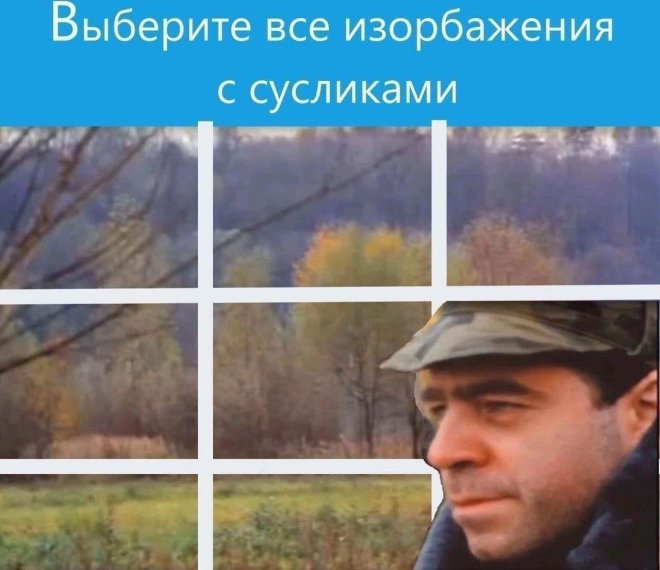 Вот бы нейросети отняли у меня работу, а зарплату оставили 