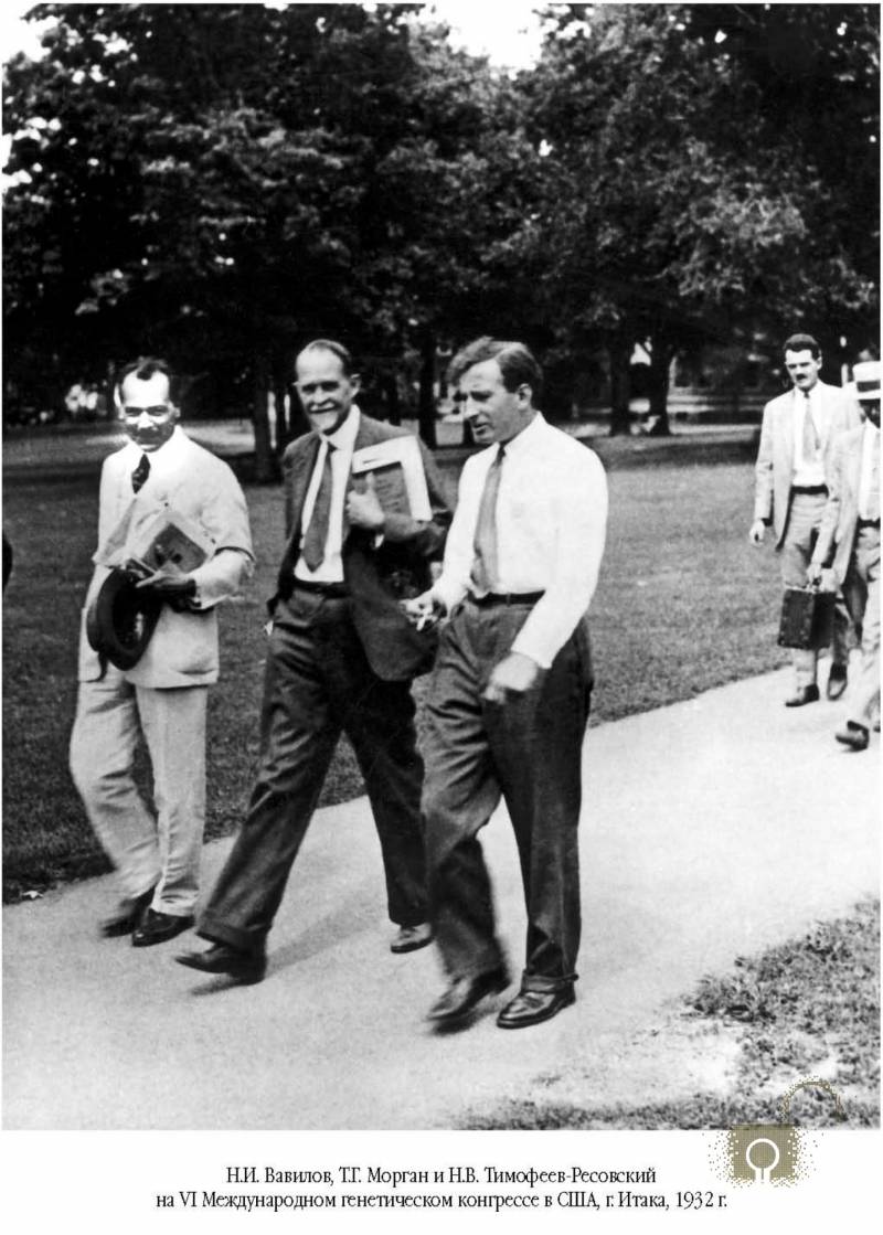 «Вы свободны, господин Вавилов». Как страна потеряла будущего нобелевского лауреата «Вы свободны, господин Вавилов». Как страна потеряла будущего нобелевского лауреата