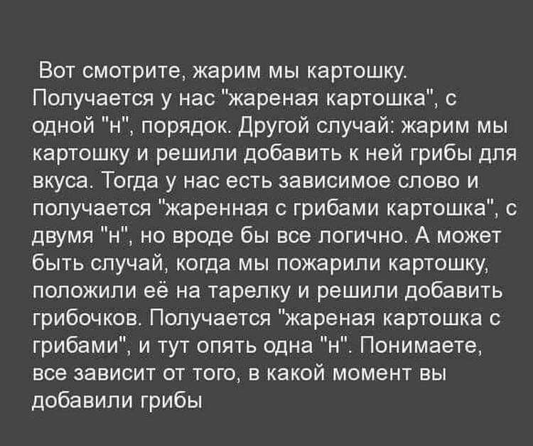 Юмор Одессы: лучшие одесские шутки и анекдоты 