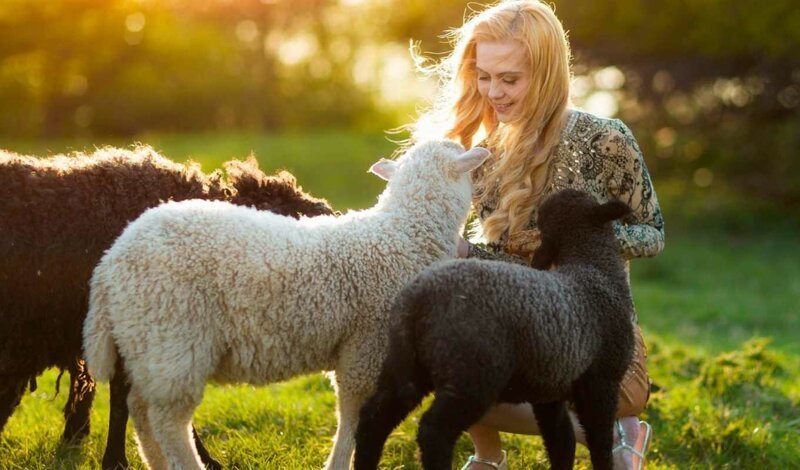 Союз силы и нежности - на это можно смотреть вечно! Союз силы и нежности - на это можно смотреть вечно! фотография