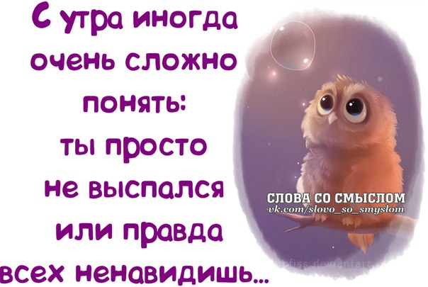 Статусы для ватсапа прикольные картинки
