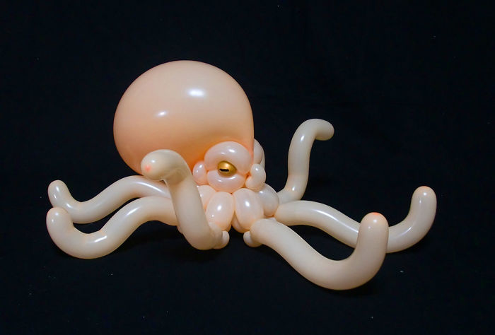 Octopus