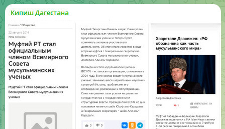 Западная разведка пустила корни в России. Действуют через муфтиев