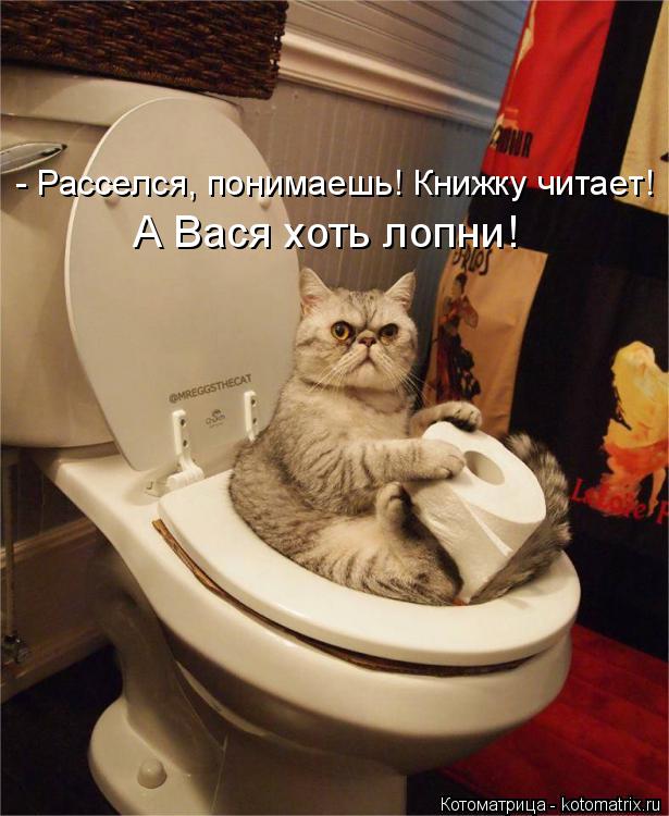 Котоматрица: - Расселся, понимаешь! Книжку читает! А Вася хоть лопни!