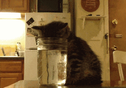 Прикольные и смешные гифки из сети Прикольные и смешные гифки из сети