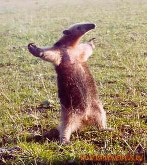 Давайте улыбаться вместе! :) Давайте улыбаться вместе! :)